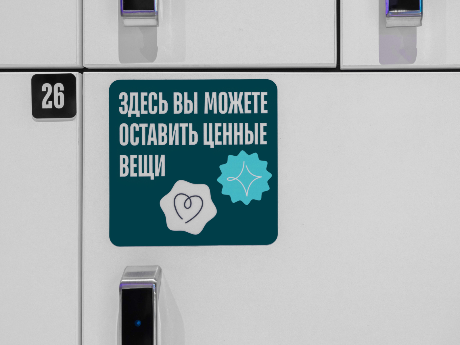 e736abf6501.jpg