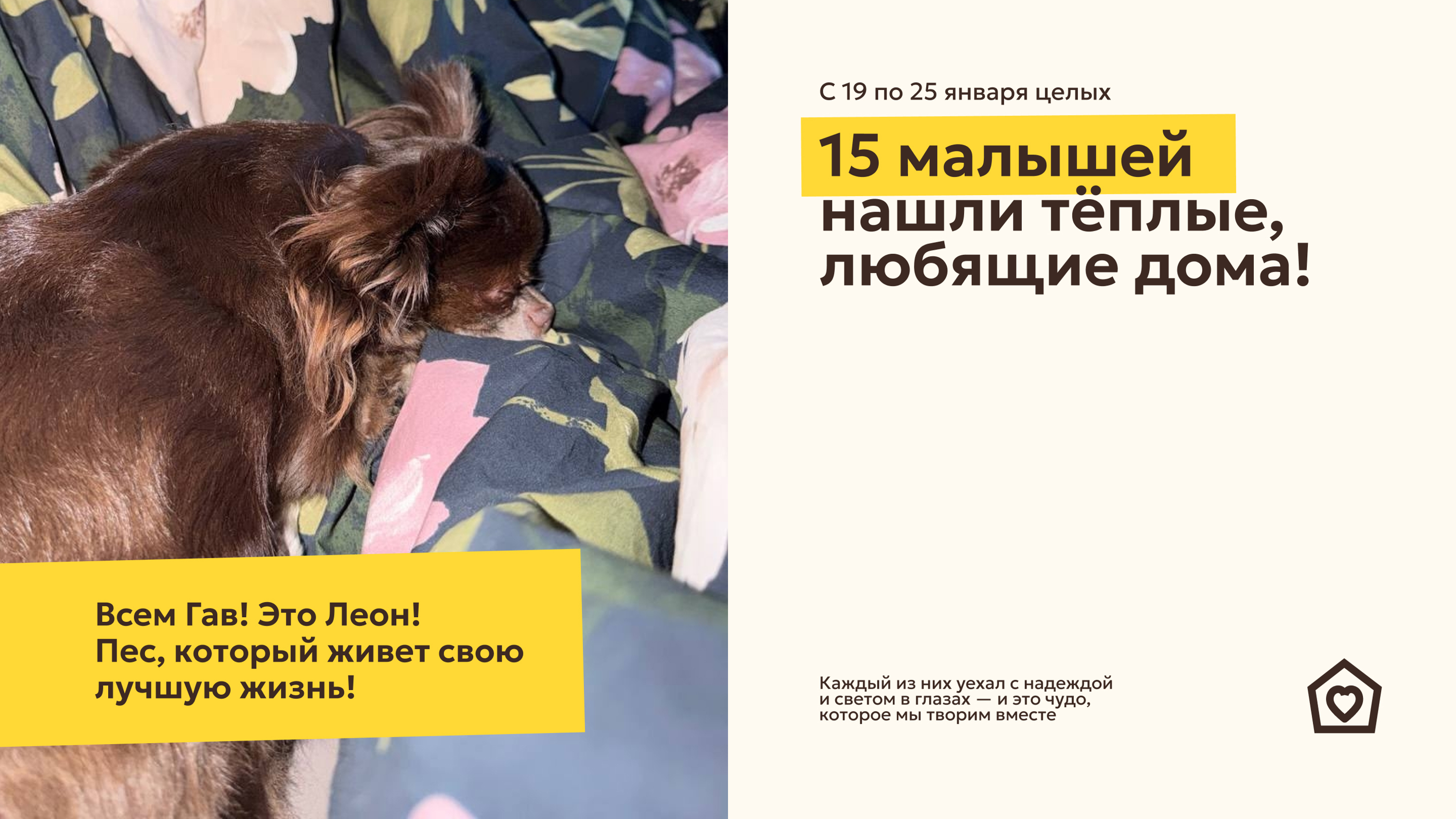 270a11f1570.jpg