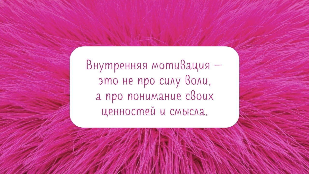 541d286385c.jpg