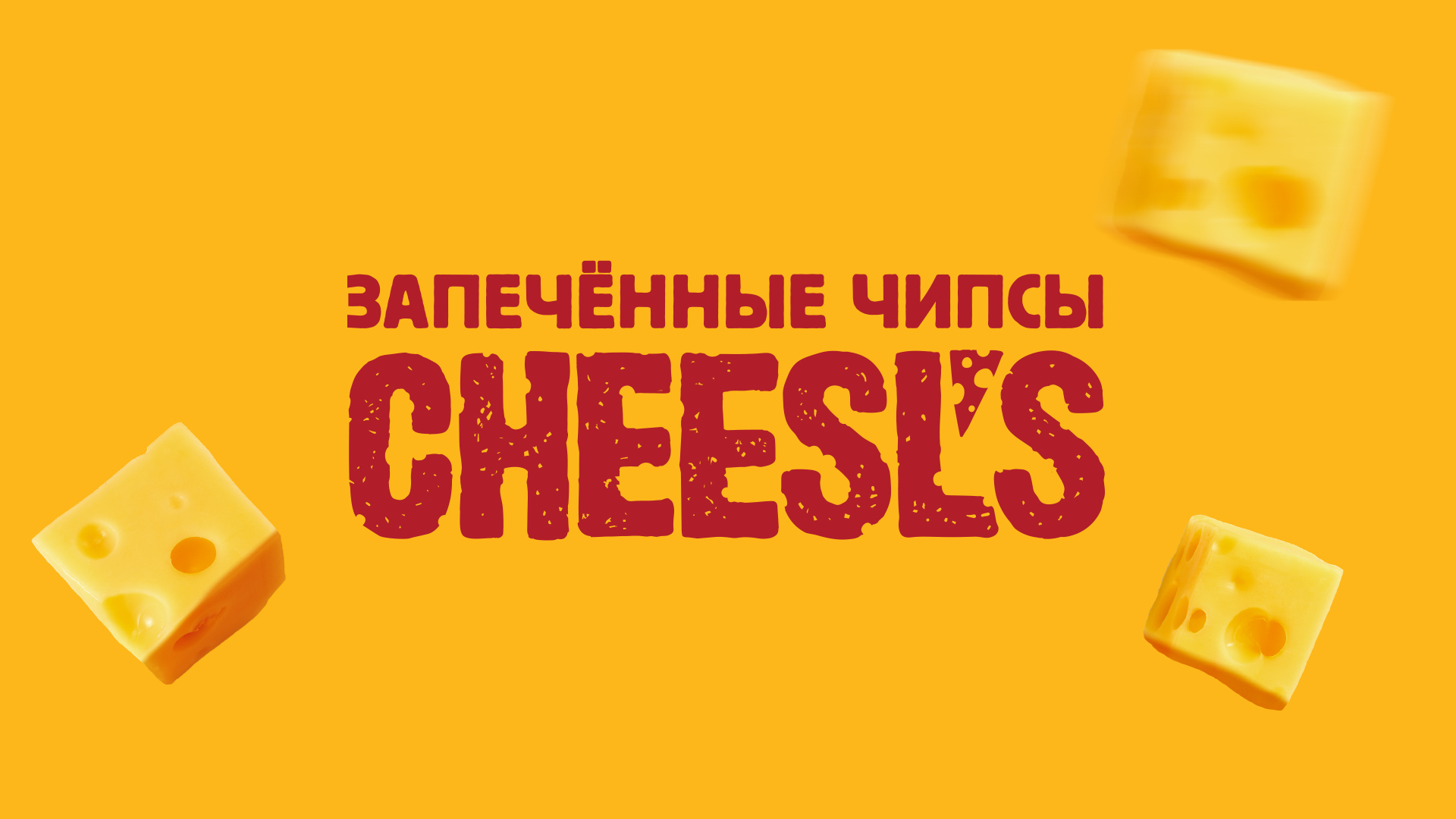 1e55fbcb871.jpg