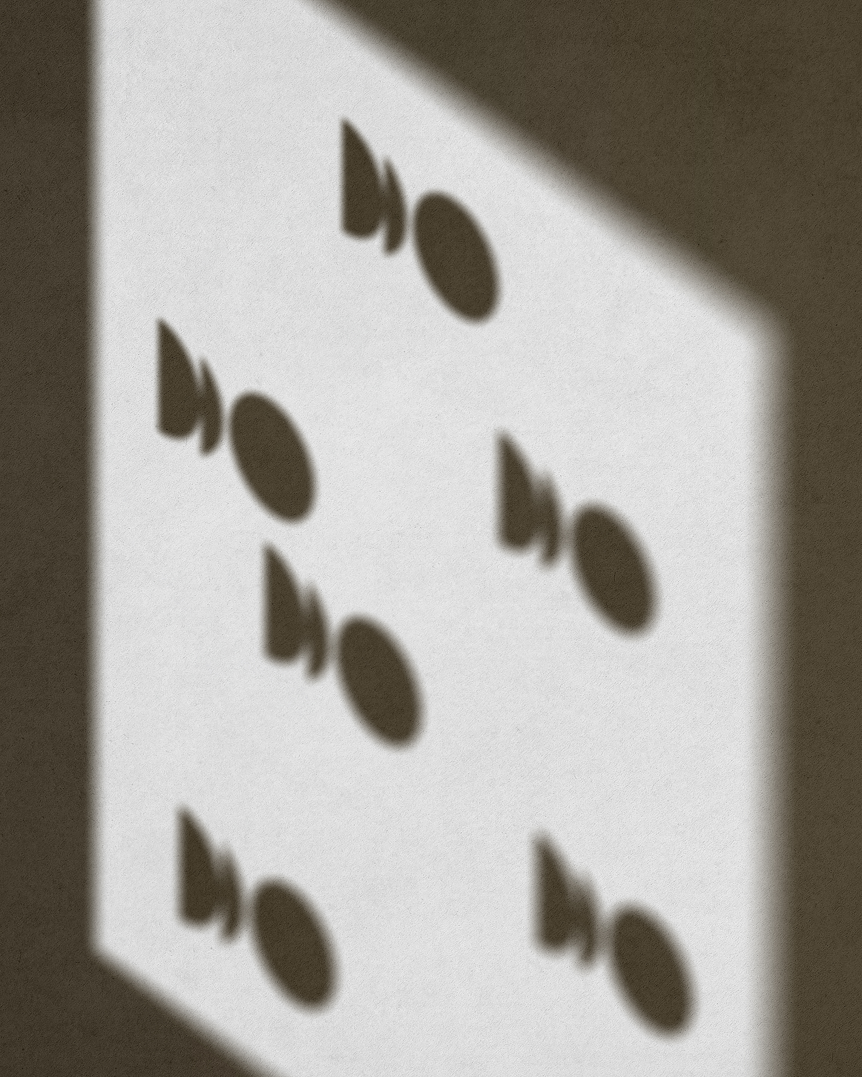 e5ba9890445.jpg