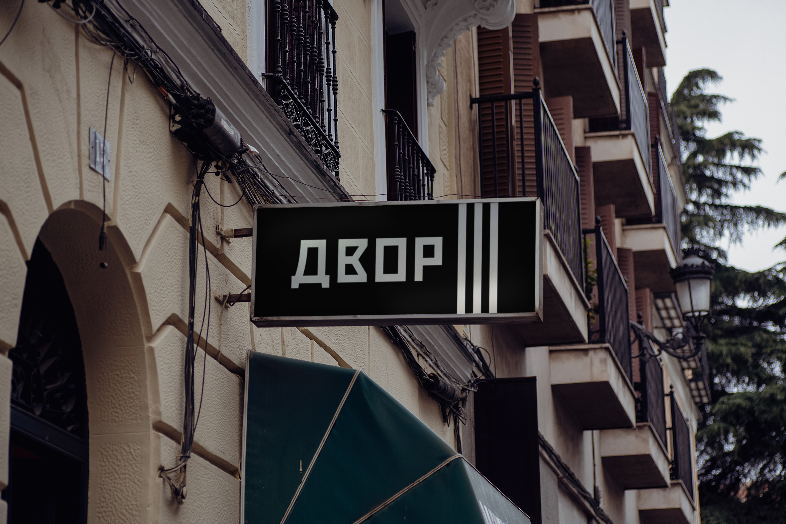 543ac22a5d9.jpg