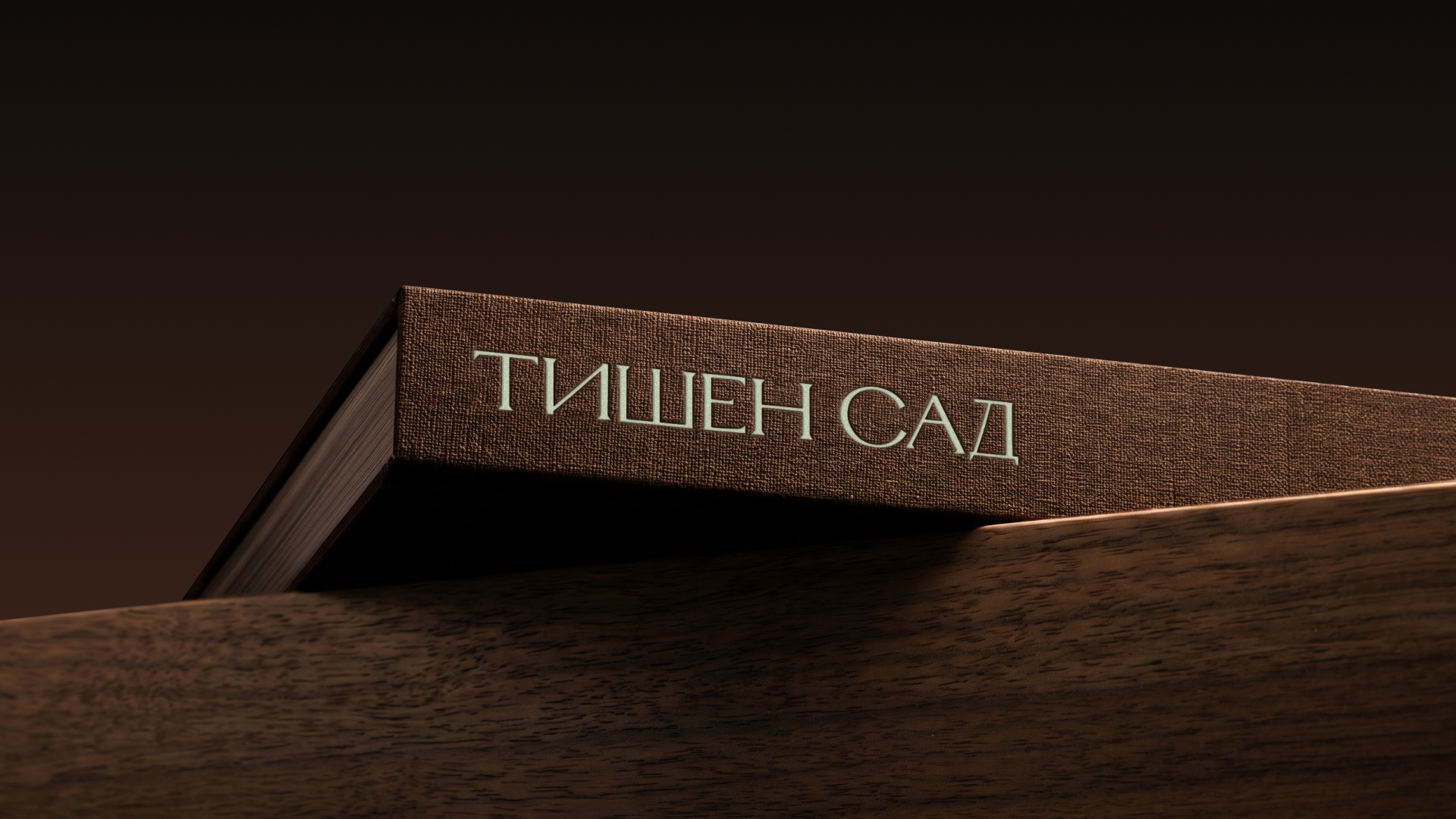 fe5bc865809.jpg